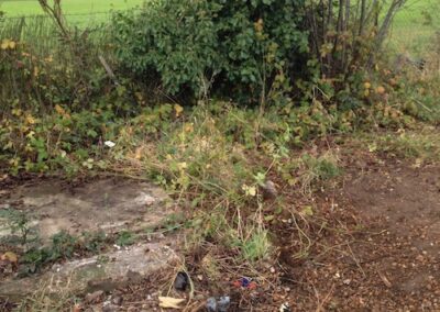 Garden Clearance